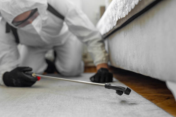 Professional Ant Control technician working in Howard County County, MO